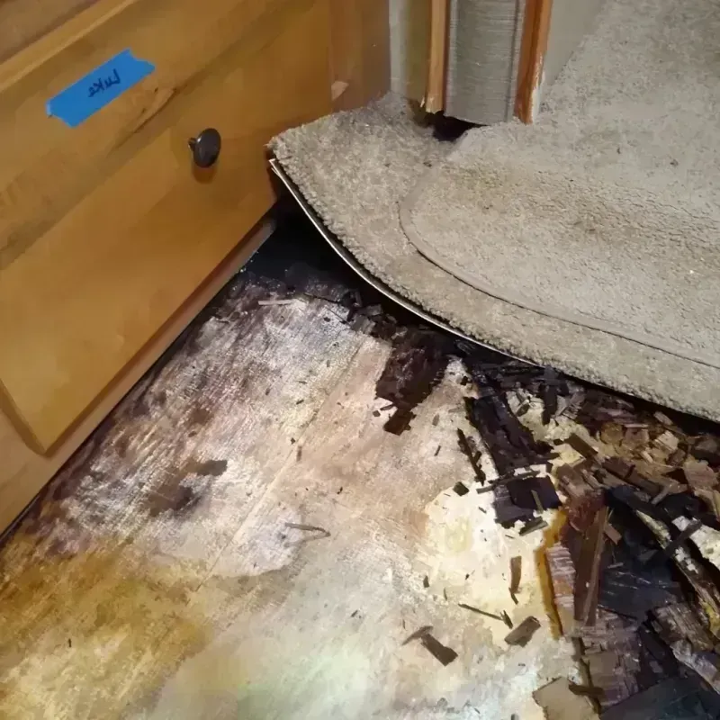 Wood Floor Water Damage in Boardman, OR